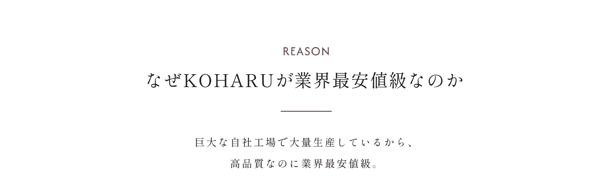 選ばれる理由